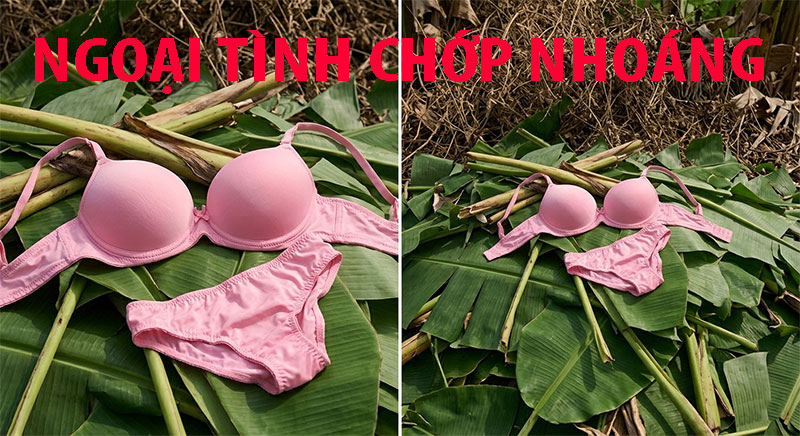 Nhập sỉ Mua Thuốc cường dương thảo dược của Mỹ- Vegetal Vigra cao cấp